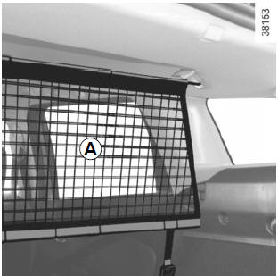 Renault Clio. Luggage net