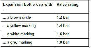 Renault Clio. Engine cooling system: Check