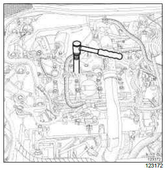 Renault Clio. Plugs: Removal - Refitting