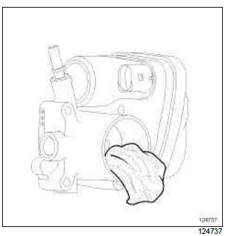 Renault Clio. Throttle valve: Cleaning